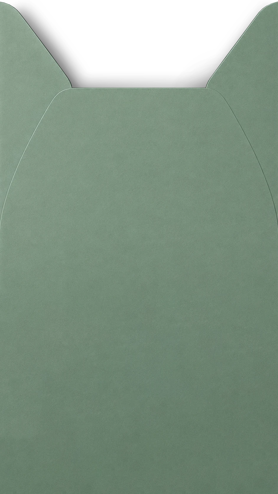 Envelope Front